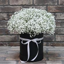 Цветочная композиция из Гипсофила в шляпной коробке #REPLACE_PRED# Упорово