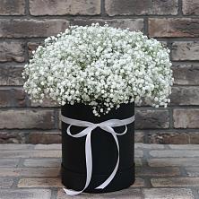 Цветочная композиция из Гипсофила в шляпной коробке в Упорово